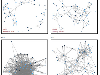 Publication Tjeerd Zandberg in the journal Social Network Analysis and Mining